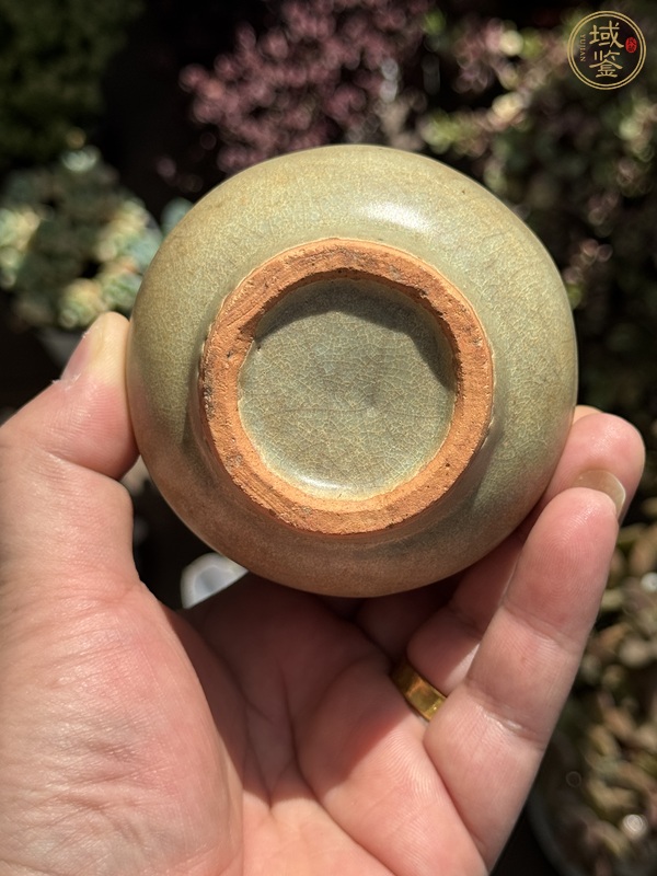 古玩陶瓷龍泉青瓷截口瓶真品鑒賞圖