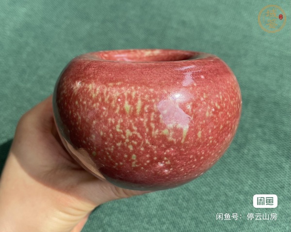 古玩豇豆紅水盂真品鑒賞圖