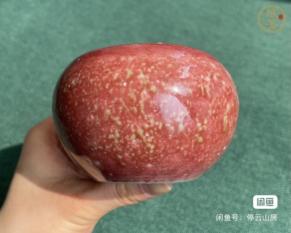 古玩陶瓷豇豆紅水盂真品鑒賞圖