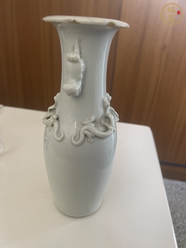 古玩陶瓷白釉螭龍獅耳瓶真品鑒賞圖
