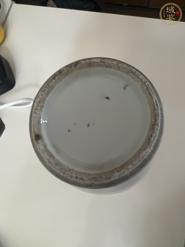 古玩陶瓷白釉螭龍獅耳瓶真品鑒賞圖