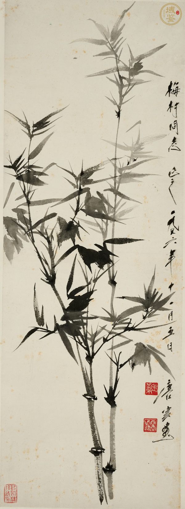 古玩字畫唐云款《墨竹》真品鑒賞圖