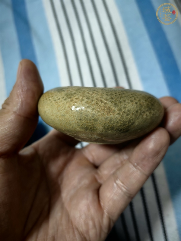 古玩陶瓷青瓷水盂真品鑒賞圖
