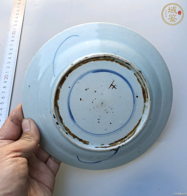 古玩陶瓷龍紋盤真品鑒賞圖
