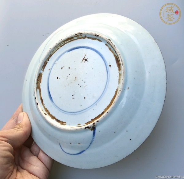 古玩陶瓷龍紋盤真品鑒賞圖