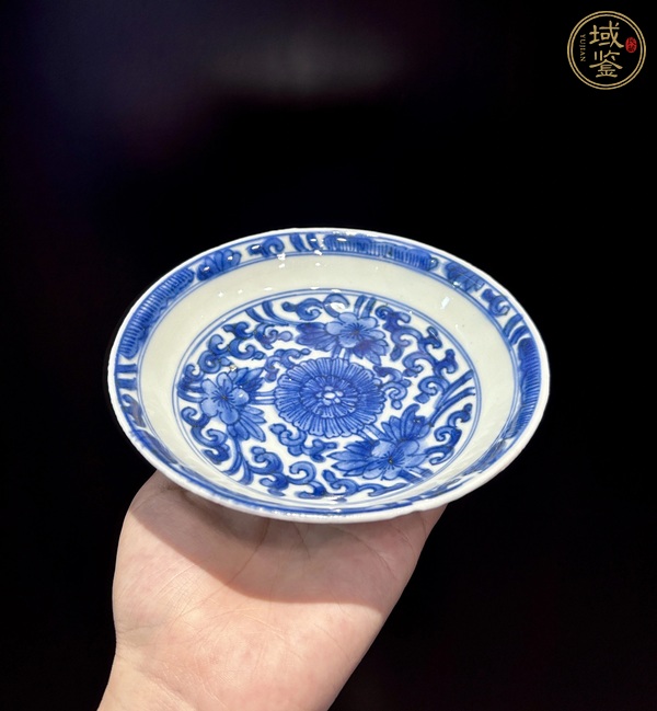 古玩陶瓷康熙青花花卉盤(pán)真品鑒賞圖