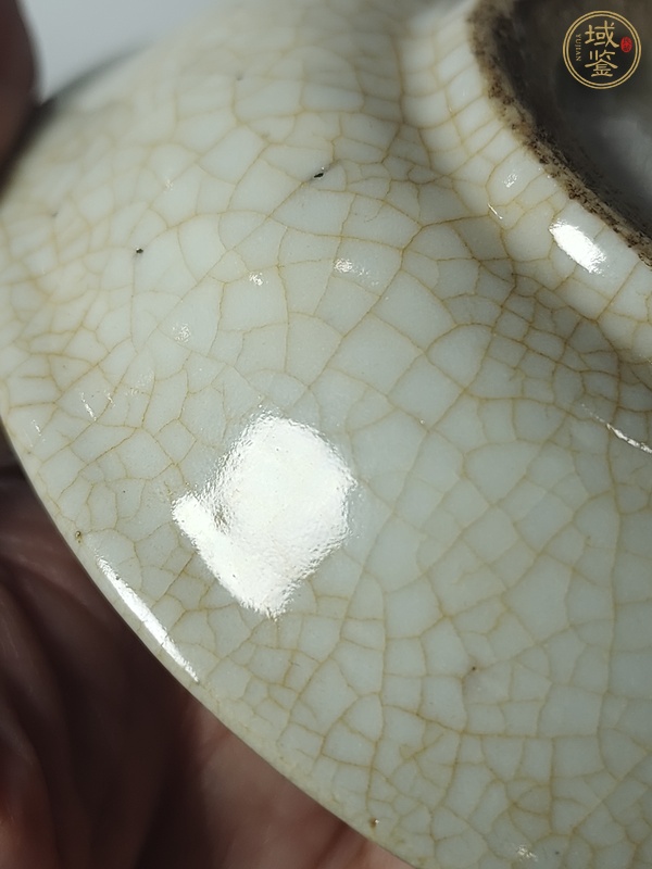 古玩陶瓷天啟萊菔紋青花盤真品鑒賞圖