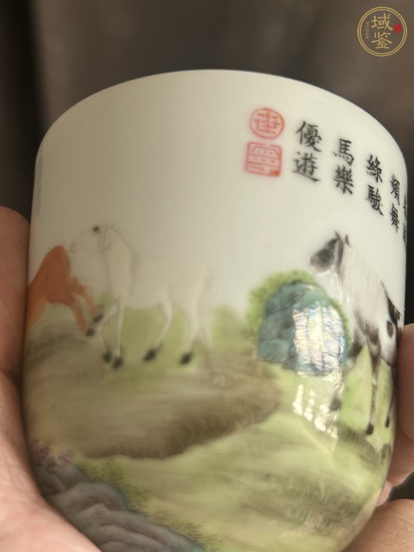 古玩陶瓷民國(guó) 仿琺瑯彩駿馬圖杯真品鑒賞圖