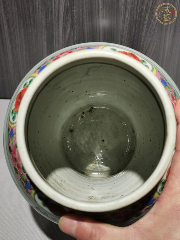 古玩雍正粉彩半截鳳尾尊真品鑒賞圖