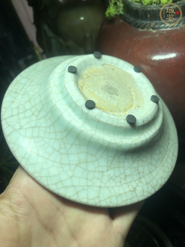 古玩陶瓷龍泉窯青釉盤真品鑒賞圖