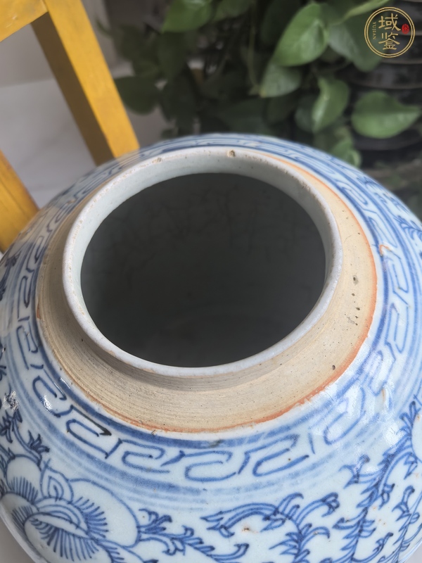 古玩 纏枝花卉青花罐真品鑒賞圖