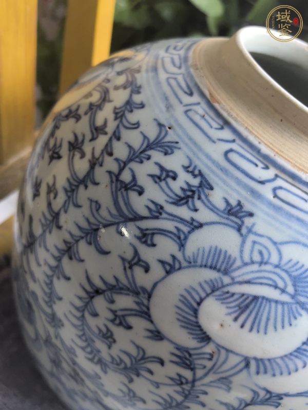 古玩陶瓷 纏枝花卉青花罐真品鑒賞圖