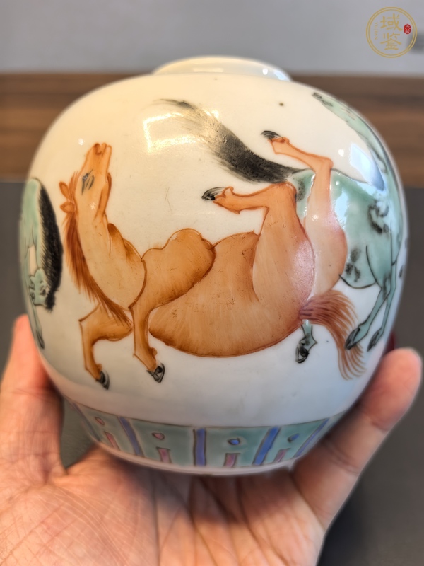 古玩陶瓷粉彩八駿圖茶葉罐真品鑒賞圖