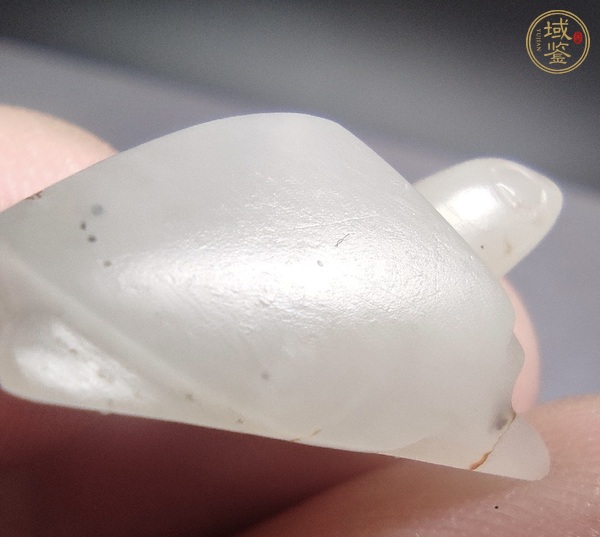 古玩玉器玉龜真品鑒賞圖
