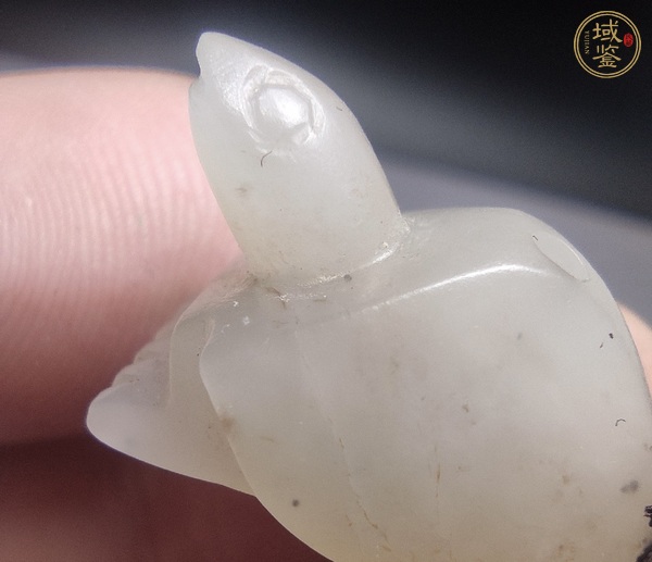 古玩玉器玉龜真品鑒賞圖
