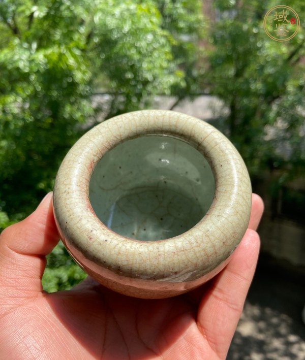 古玩郎紅釉蘋果尊真品鑒賞圖