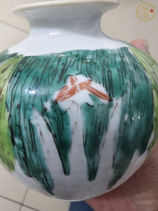 古玩陶瓷粉彩白菜紋蘋果尊真品鑒賞圖
