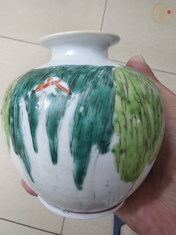古玩陶瓷粉彩白菜紋蘋果尊真品鑒賞圖