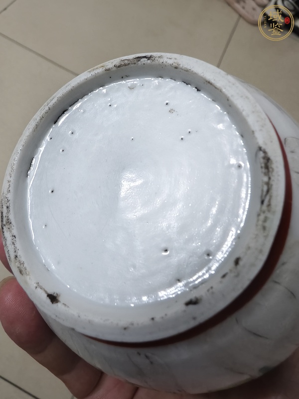 古玩陶瓷粉彩白菜紋蘋果尊真品鑒賞圖