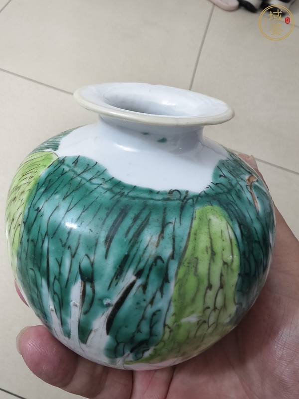 古玩陶瓷粉彩白菜紋蘋果尊真品鑒賞圖