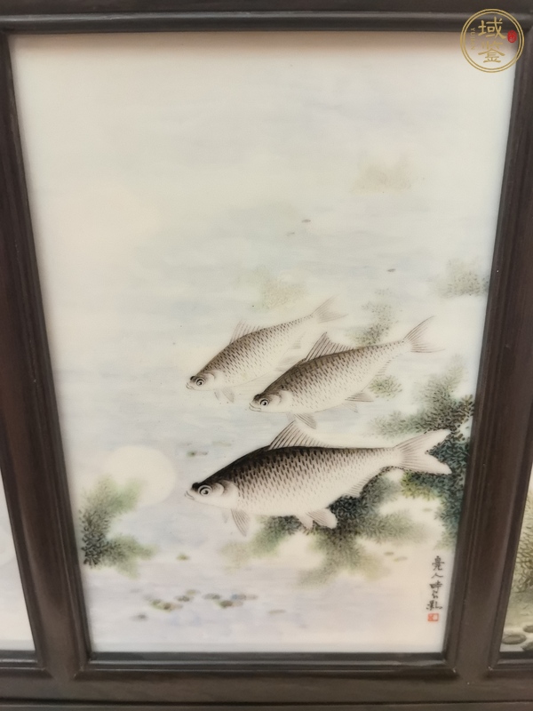 古玩陶瓷粉彩魚藻紋瓷板真品鑒賞圖