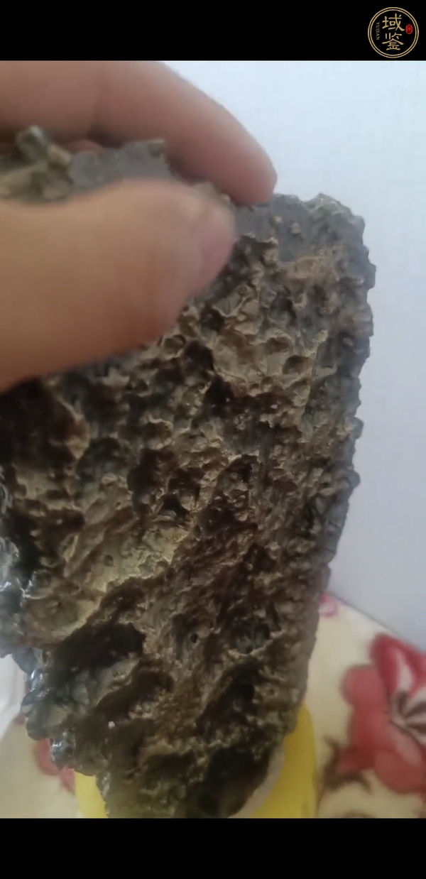 古玩隕石真品鑒賞圖