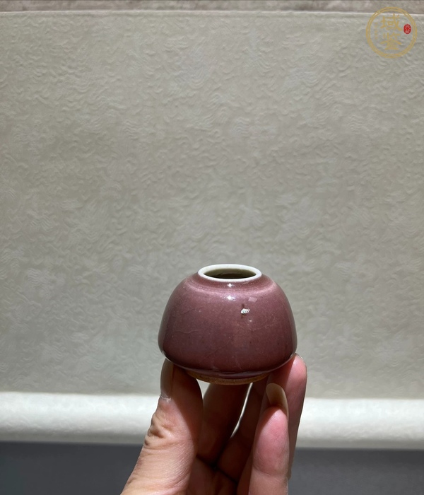 古玩陶瓷紅釉水盂真品鑒賞圖