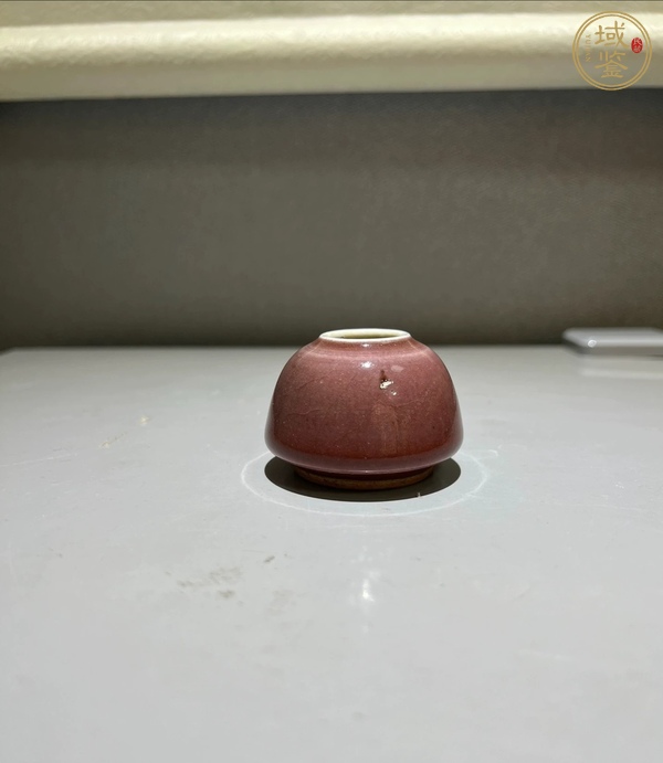 古玩陶瓷紅釉水盂真品鑒賞圖