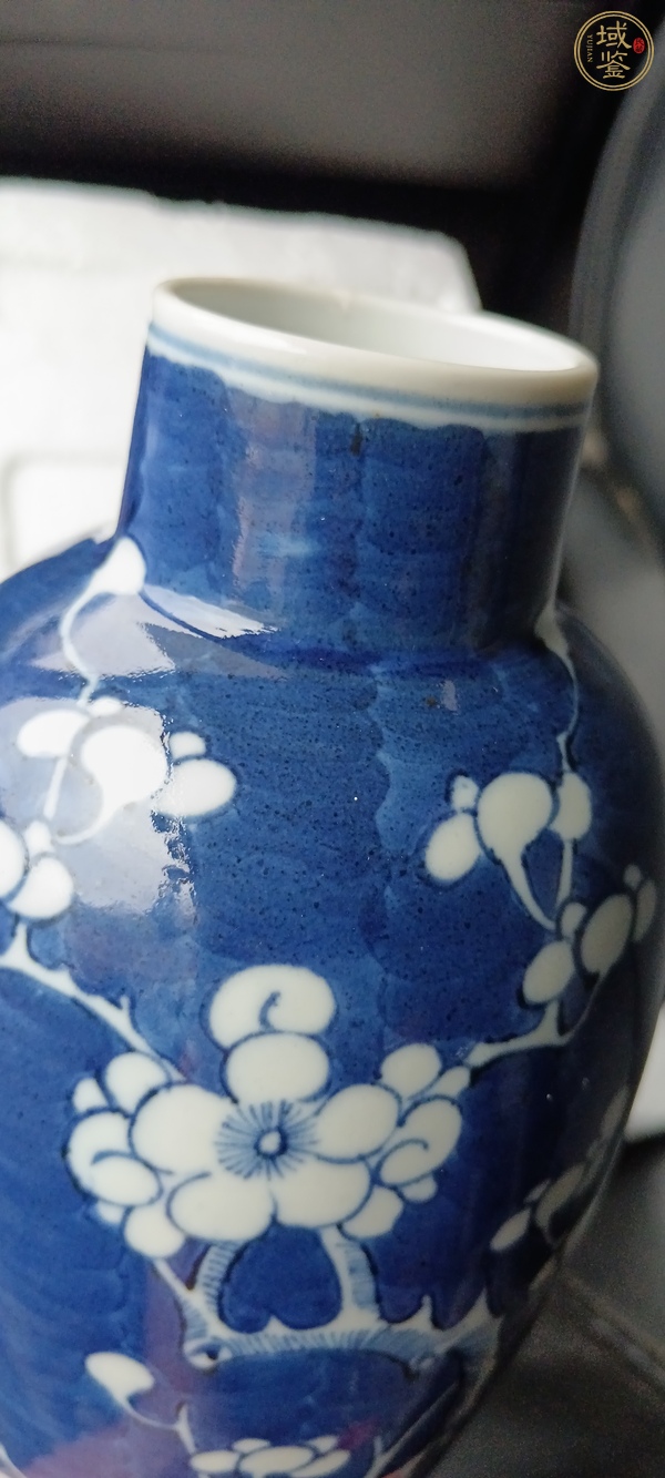 古玩陶瓷清光緒 青花冰梅紋瓶真品鑒賞圖
