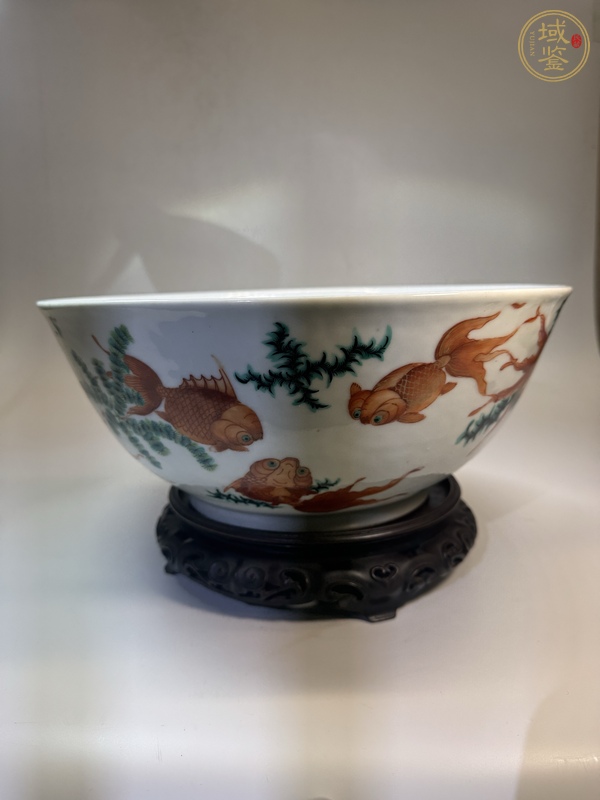 古玩陶瓷魚(yú)藻紋粉彩大碗真品鑒賞圖