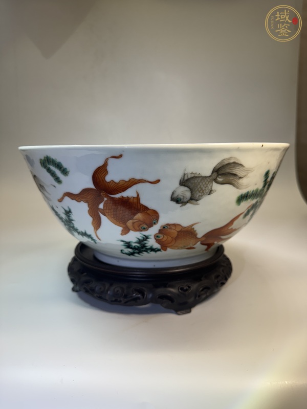 古玩陶瓷魚(yú)藻紋粉彩大碗真品鑒賞圖