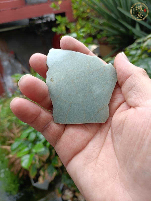 古玩陶瓷龍泉官標(biāo)本真品鑒賞圖