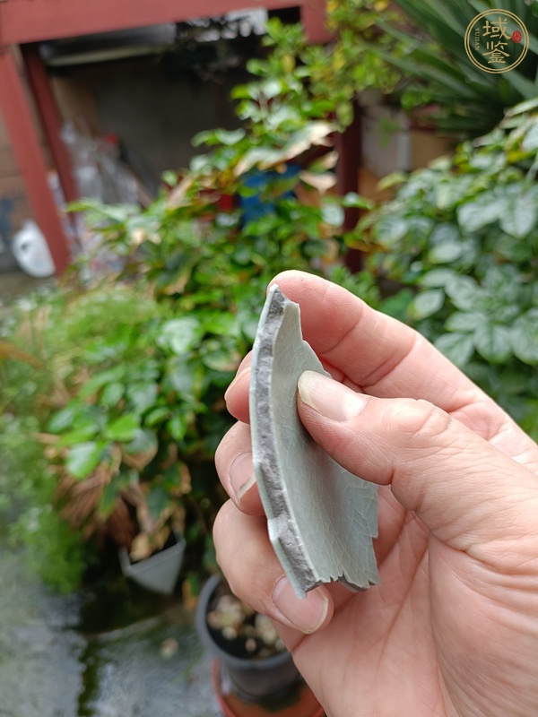 古玩陶瓷龍泉官標(biāo)本真品鑒賞圖