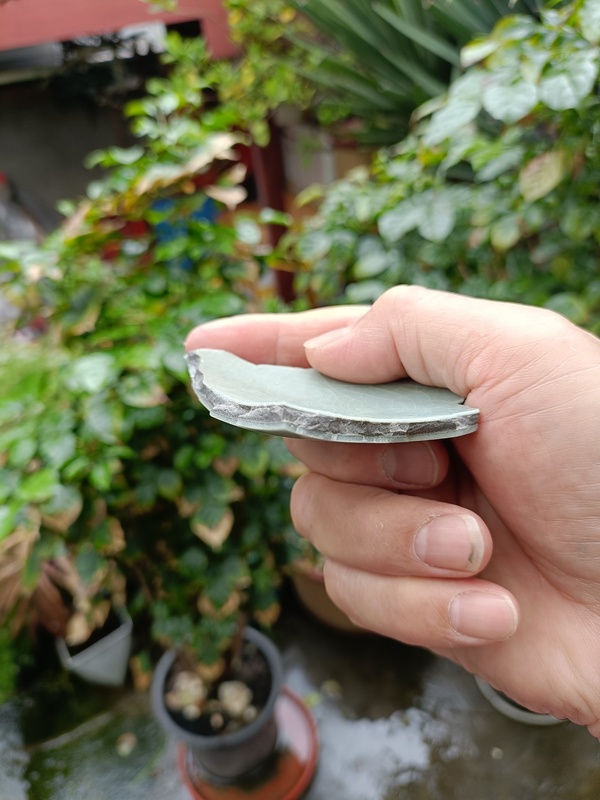 古玩陶瓷南宋龍泉