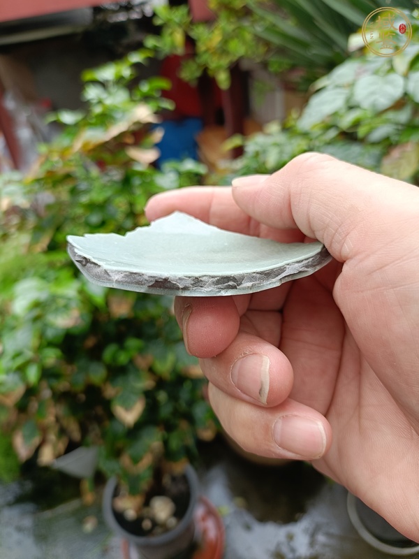 古玩陶瓷龍泉官標(biāo)本真品鑒賞圖
