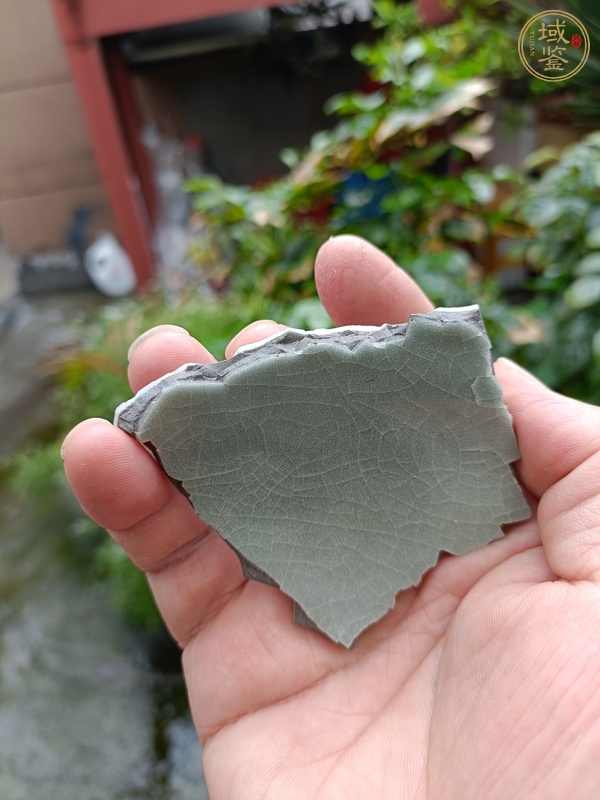 古玩陶瓷龍泉官標(biāo)本真品鑒賞圖