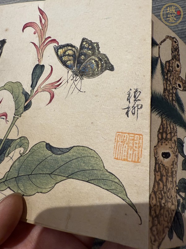 古玩字畫謝稚柳款冊頁真品鑒賞圖