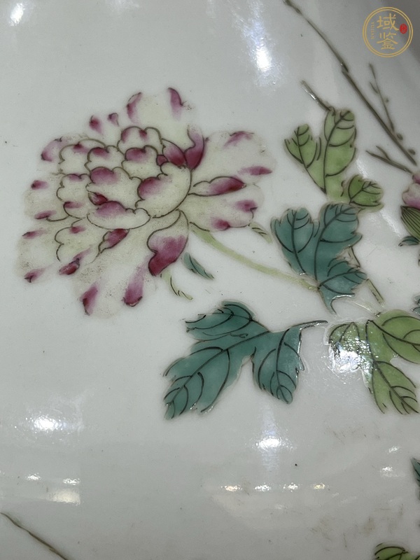 古玩字畫(huà)粉彩富貴白頭紋賞瓶真品鑒賞圖