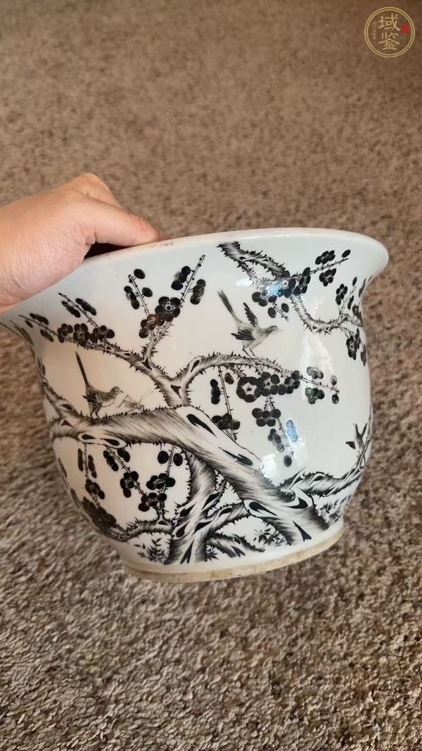 古玩陶瓷墨彩喜鵲登梅紋花盆真品鑒賞圖