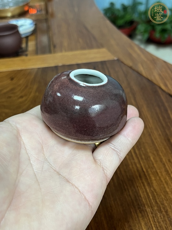 古玩陶瓷紅釉水盂真品鑒賞圖