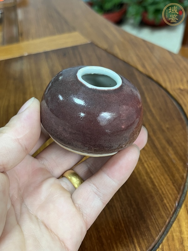 古玩陶瓷紅釉水盂真品鑒賞圖