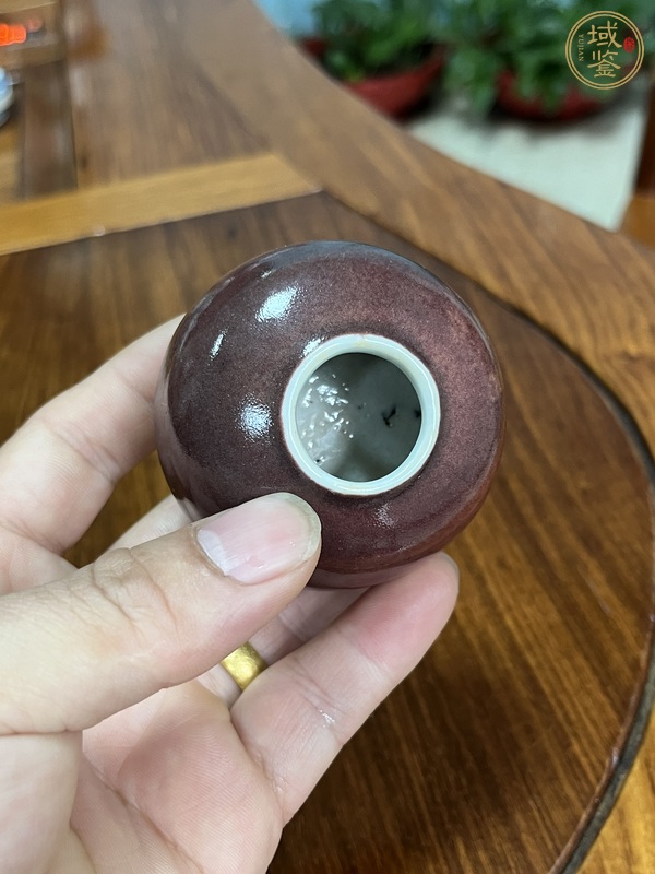 古玩陶瓷紅釉水盂真品鑒賞圖