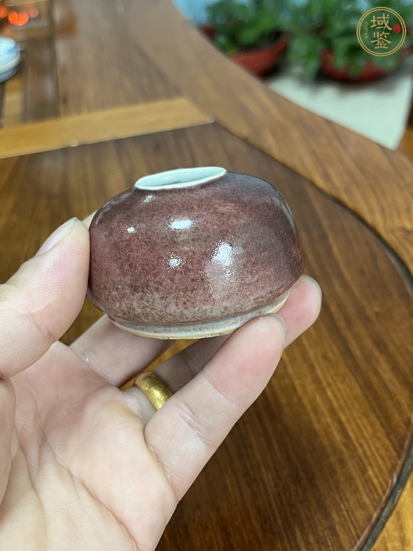古玩陶瓷紅釉水盂真品鑒賞圖