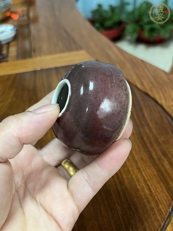 古玩陶瓷紅釉水盂真品鑒賞圖