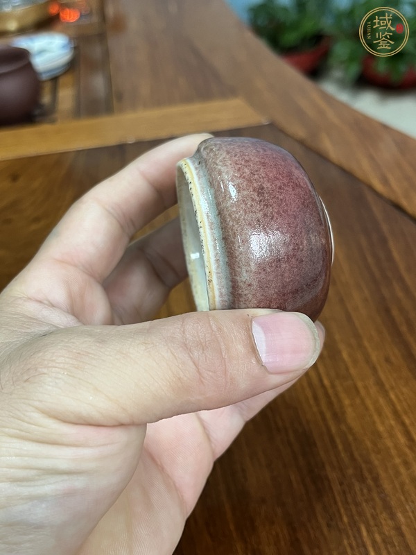 古玩陶瓷紅釉水盂真品鑒賞圖