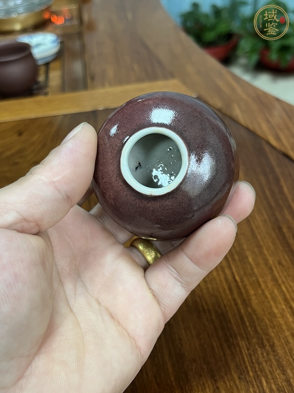 古玩陶瓷紅釉水盂真品鑒賞圖