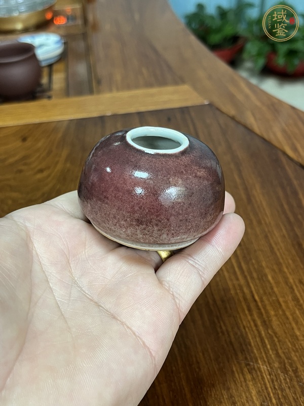 古玩陶瓷紅釉水盂真品鑒賞圖