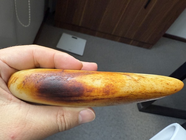 古玩玉器和田玉籽料原石拍賣，當(dāng)前價(jià)格26000元