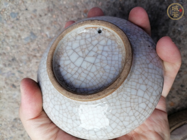 古玩陶瓷哥釉水盂真品鑒賞圖