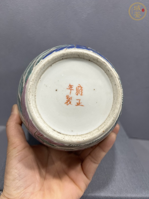 古玩陶瓷粉彩瑞獸紋罐真品鑒賞圖